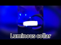 120 सेमी एलईडी कुत्ता पट्टा रिचार्जेबल यूएसबी रोशनी कुत्ता पट्टा व्यक्तिगत