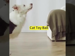 पालतू जानवर ABS सिलिकॉन सामग्री स्वयं चलती कुत्ते प्रशिक्षण इनडोर मनोरंजन के लिए बिल्ली का बच्चा खिलौना